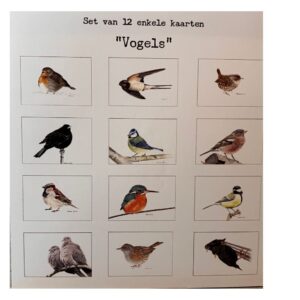 Ansichtkaarten set (12)