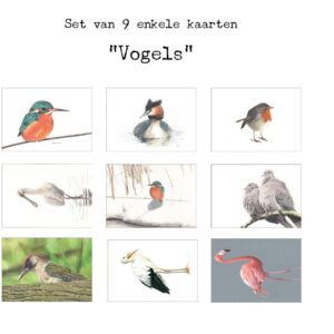 Ansichtkaarten set (9)